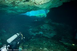 BD-101210-Cenotes-3010-Homo-sapiens.-Linnaeus.-1758-[Diver].jpg